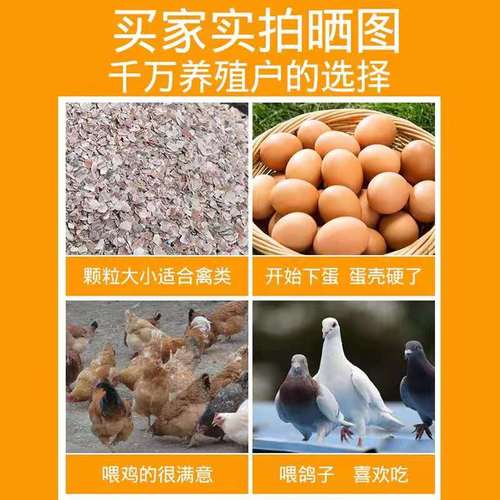 贝壳高钙粉碎鸽子鸟类鸡鸭补钙牡蛎预混添加剂饲料添加剂
